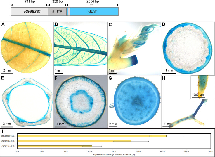 Figure 11