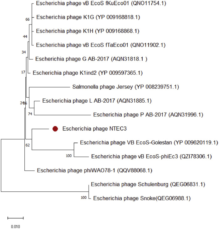 Fig 4