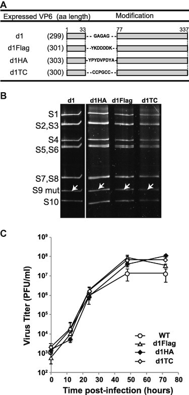 Fig. 5