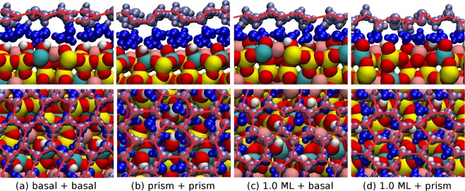 Figure 5