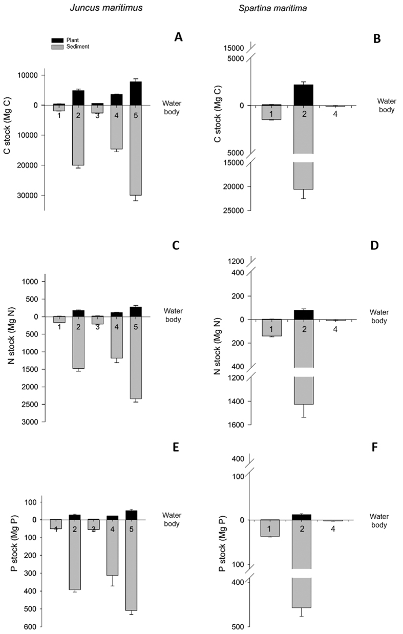 Figure 5