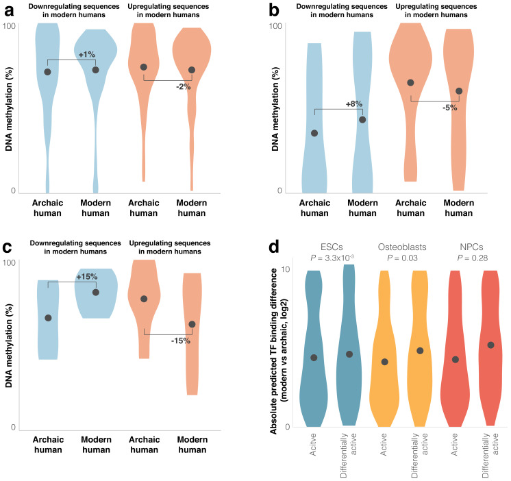 Figure 3—figure supplement 1.