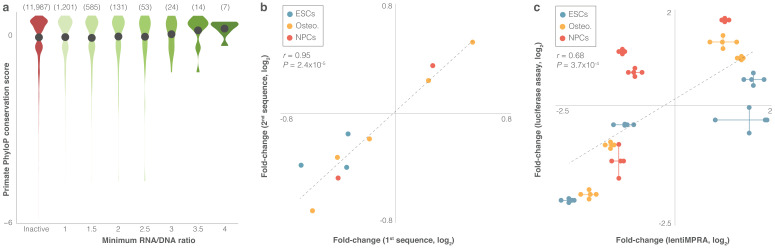 Figure 2—figure supplement 1.