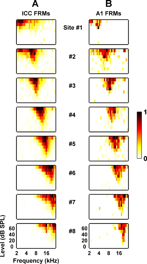 Fig. 3