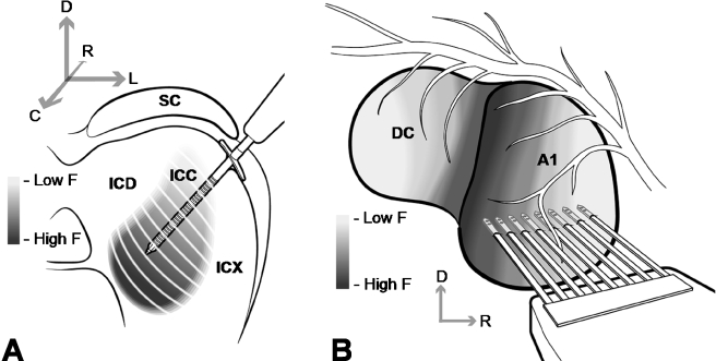 Fig. 2