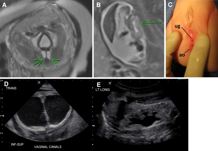 Fig. 5