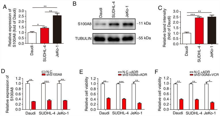 Figure 3.