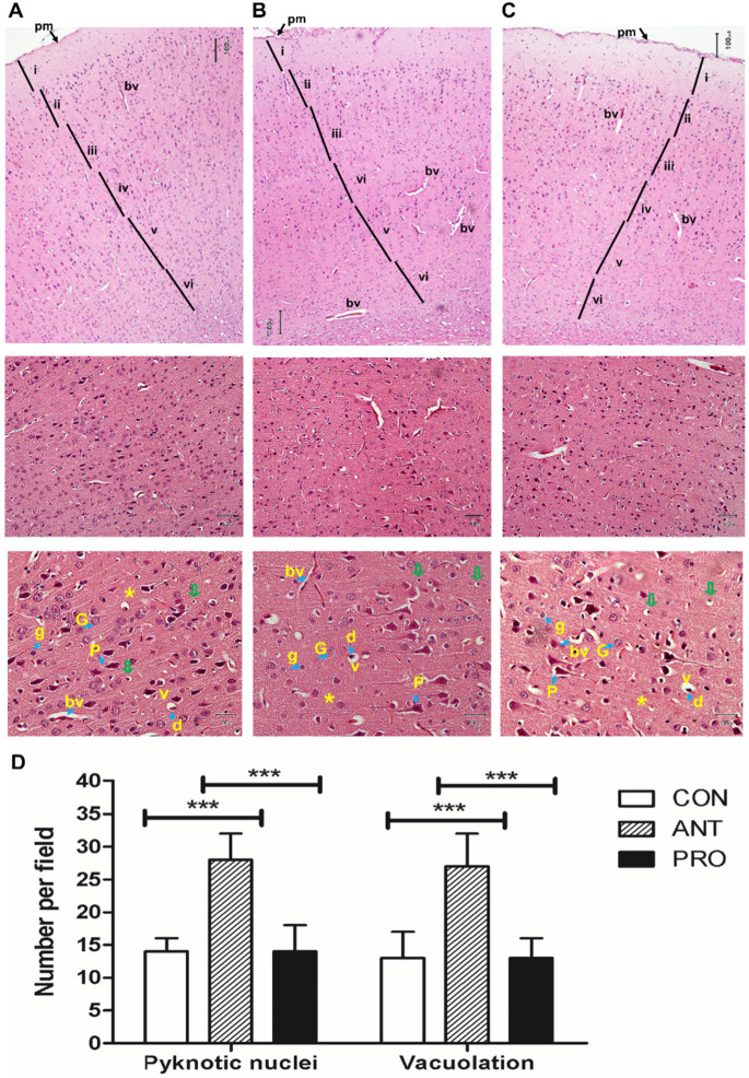 Fig. 8.