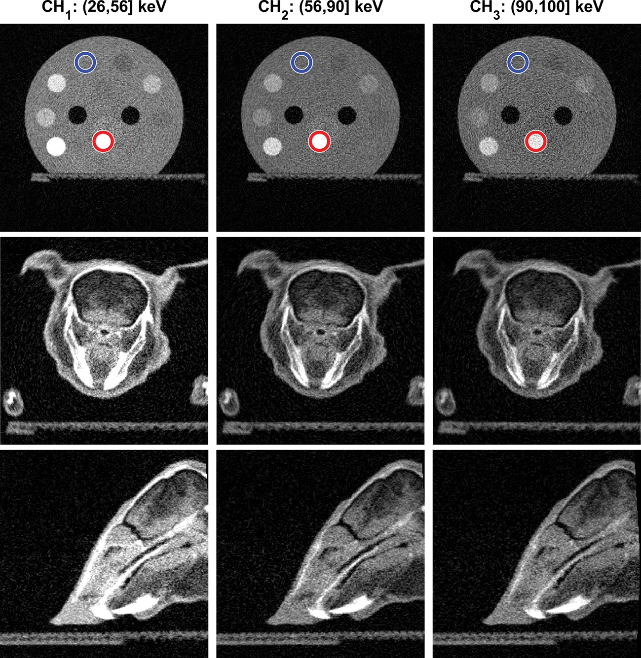 Figure 6: