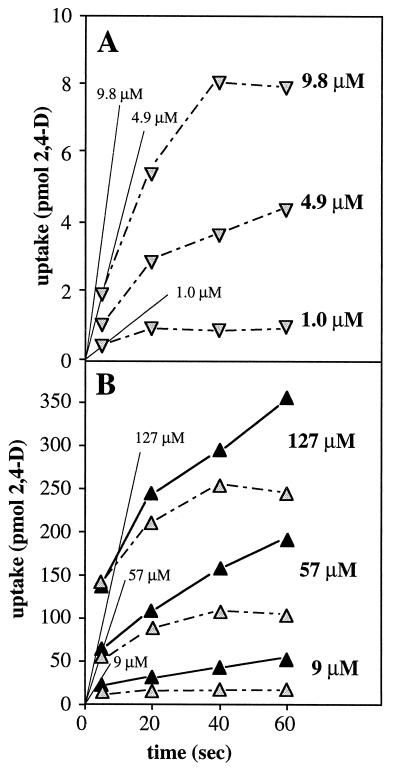 FIG. 5