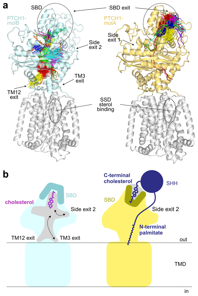 Figure 6