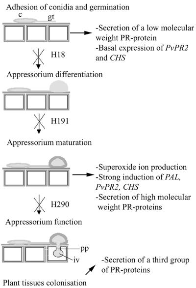 FIG. 5.