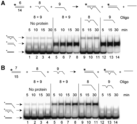 Figure 9