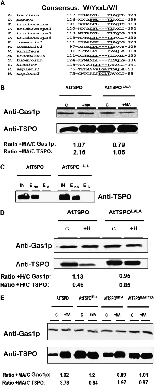 Figure 10.