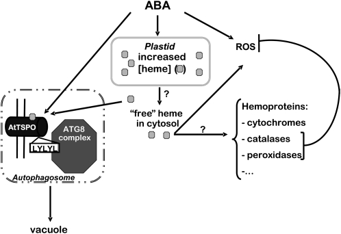 Figure 12.