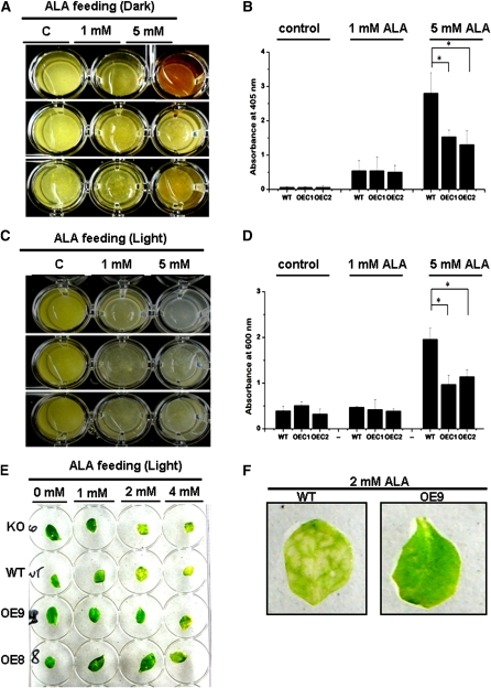 Figure 11.