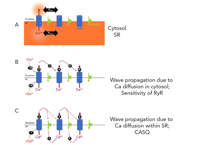 Figure 3: