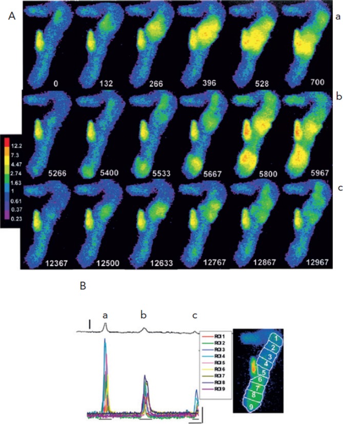 Figure 5: