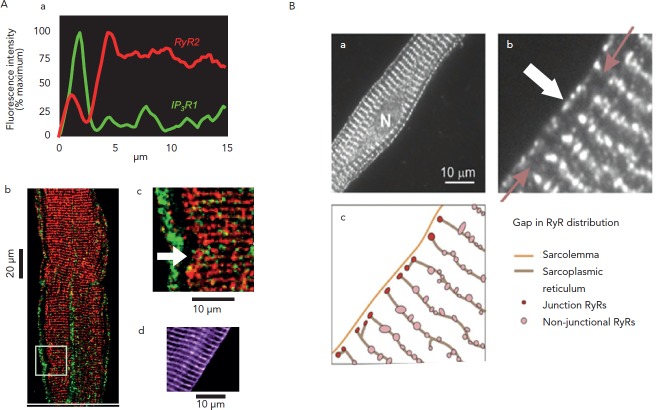 Figure 2: