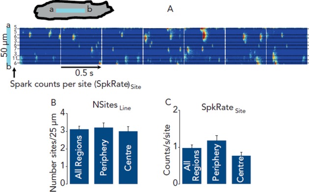 Figure 9: