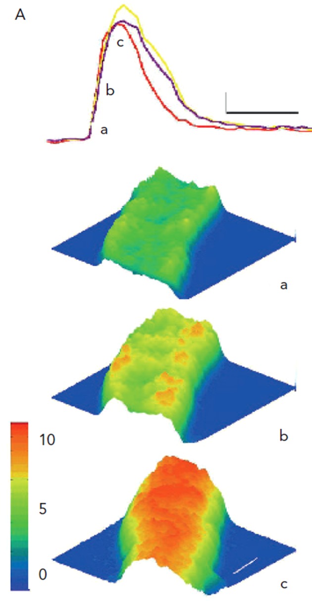 Figure 4: