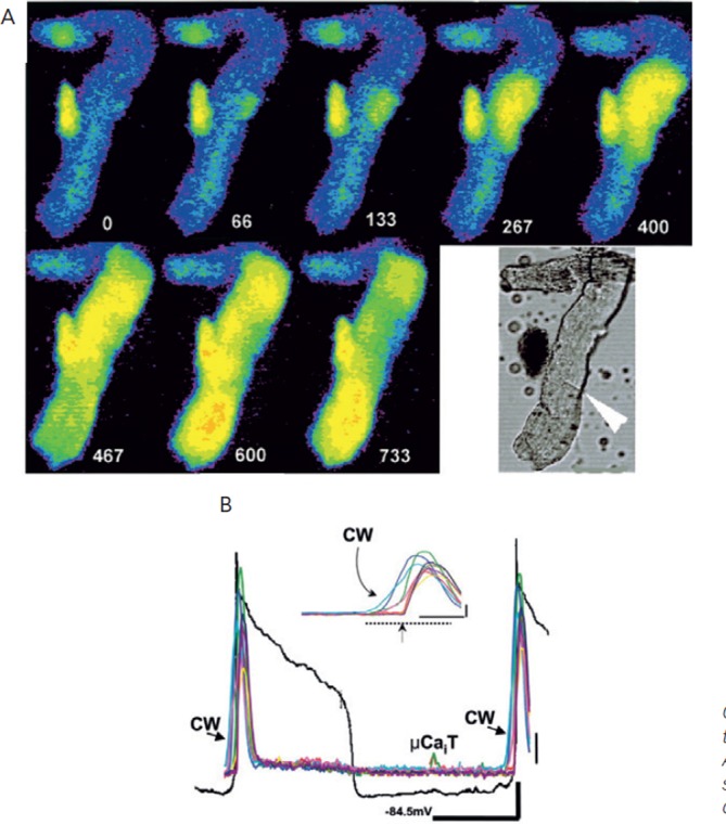 Figure 6: