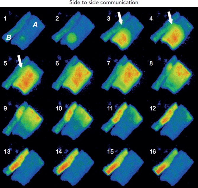 Figure 7: