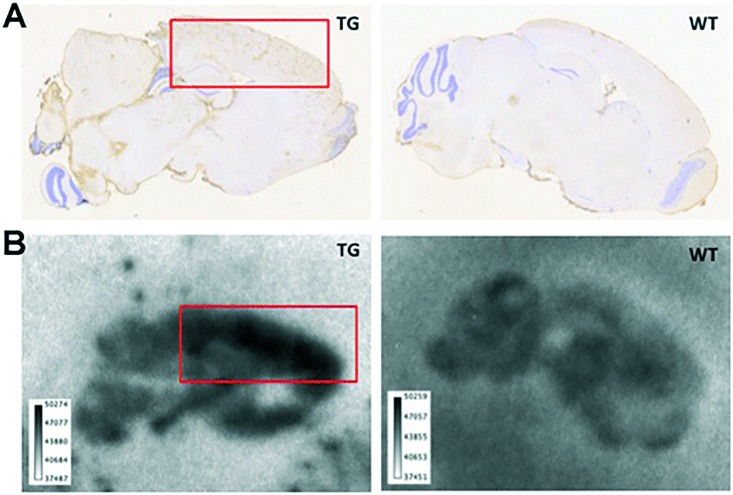 Fig. 15