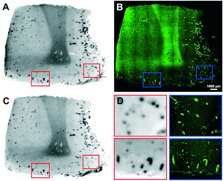 Fig. 9