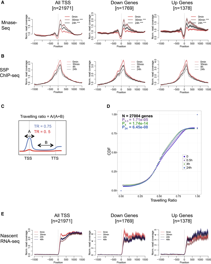 Figure 6