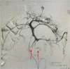 Fig 3