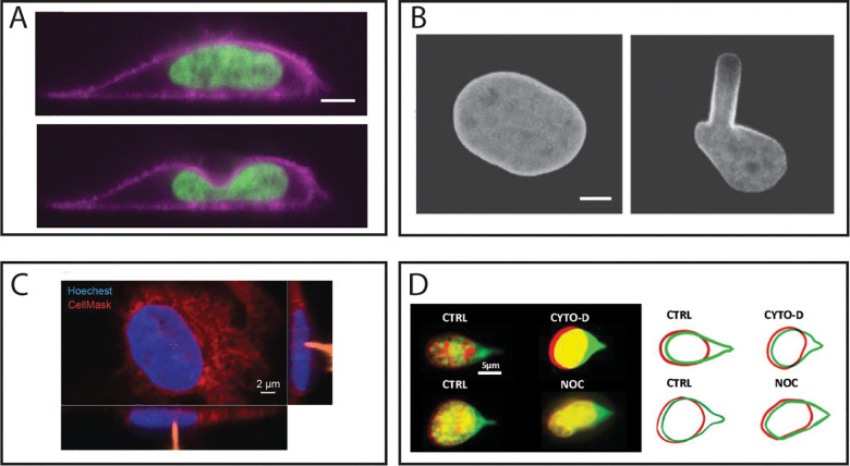 FIG. 3.