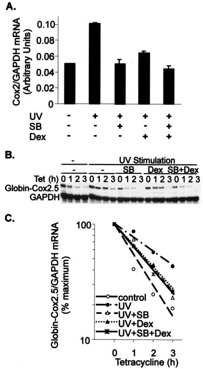 FIG. 10