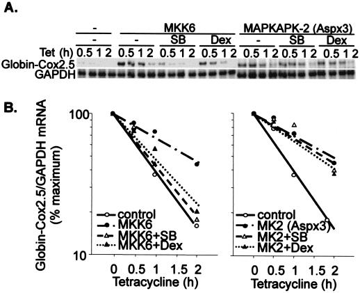 FIG. 6