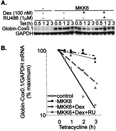 FIG. 5