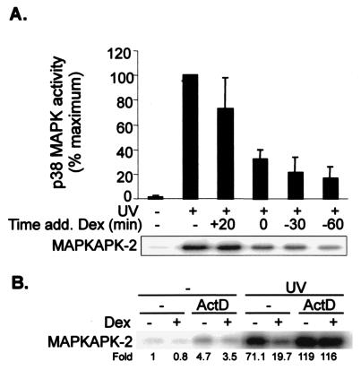 FIG. 9