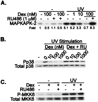 FIG. 8