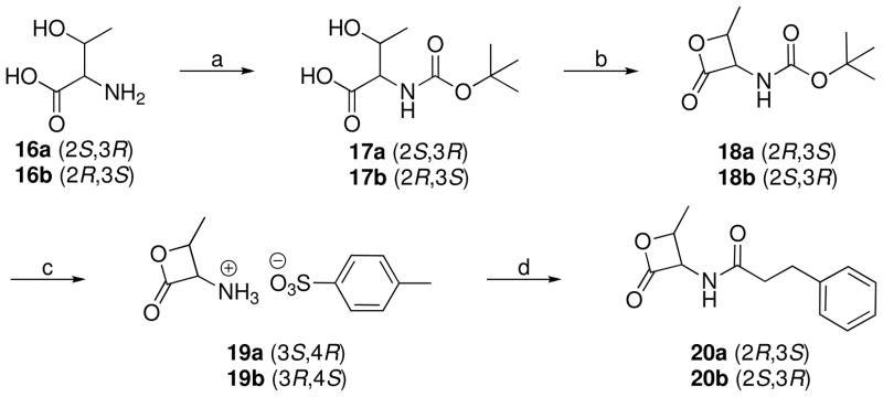 Scheme 5