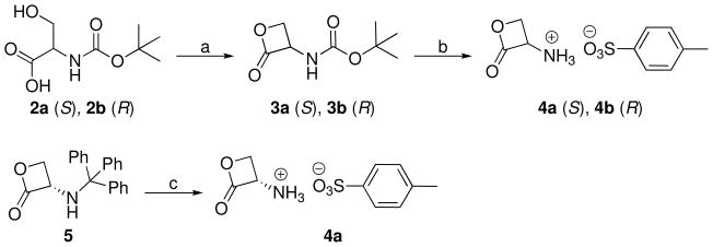 Scheme 1