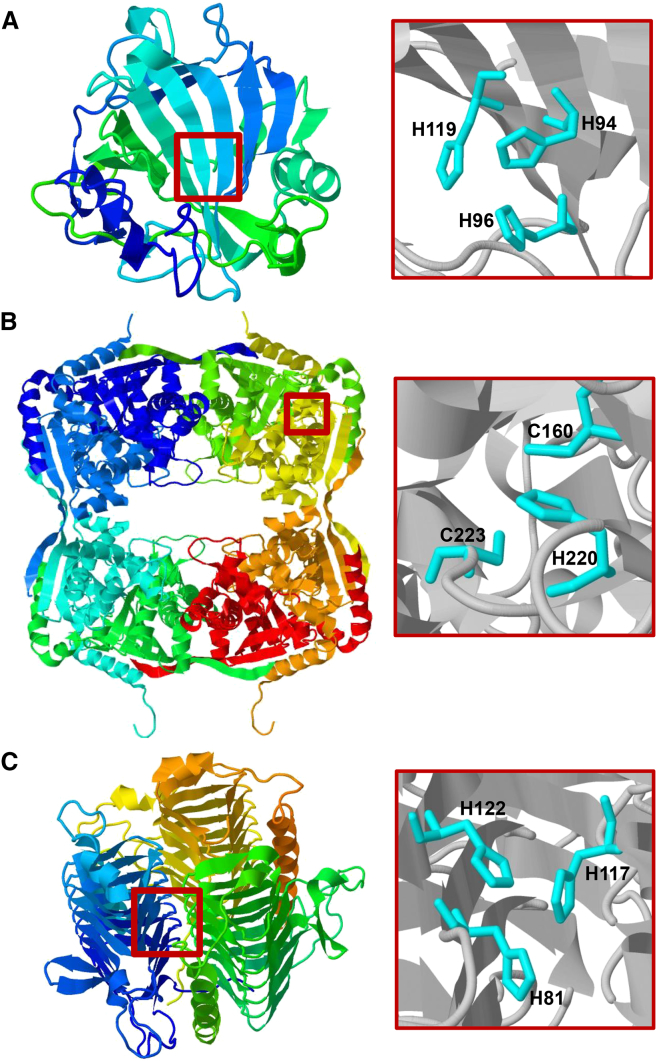 Figure 1