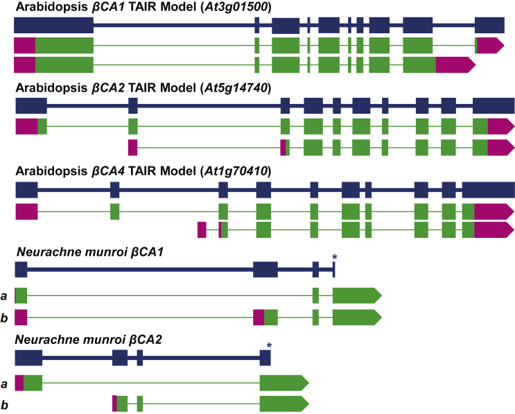 Figure 4