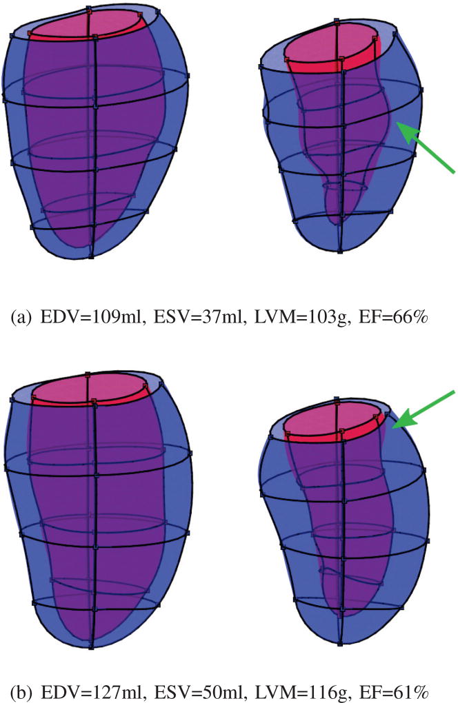 Fig. 10