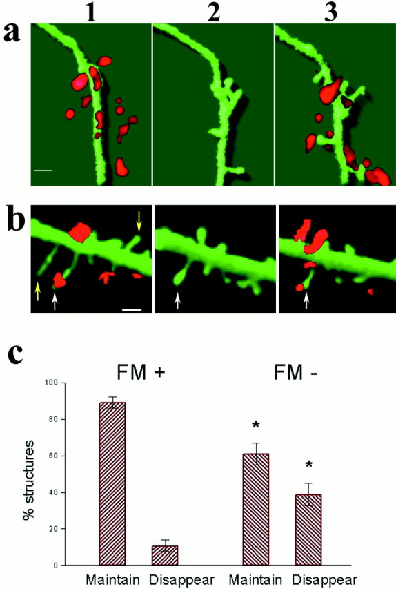 Fig. 7.