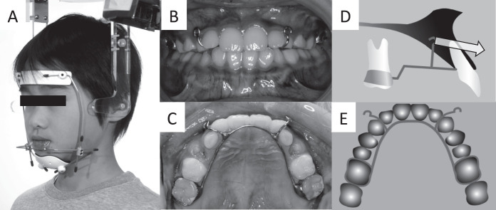 Figure 2.