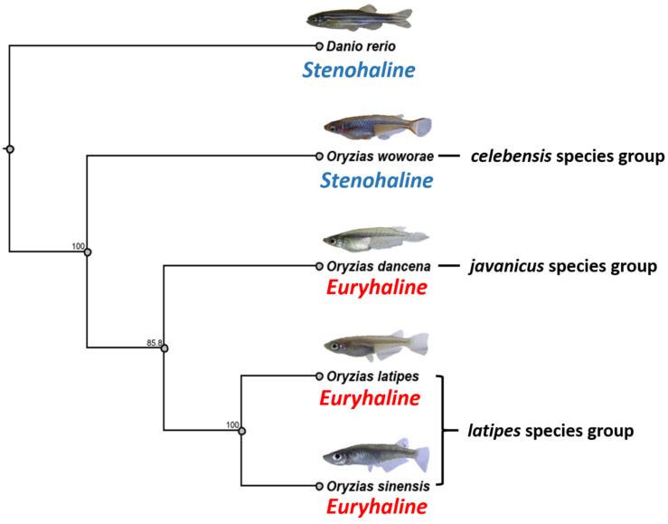 Figure 7