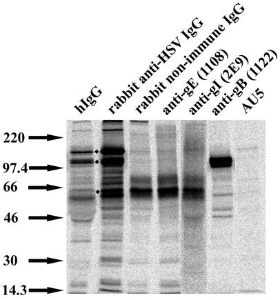 FIG. 7.