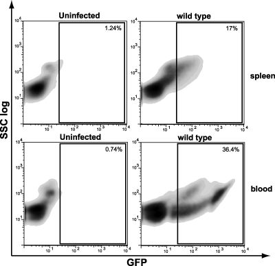 FIG. 5.