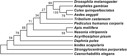 Fig. 5.