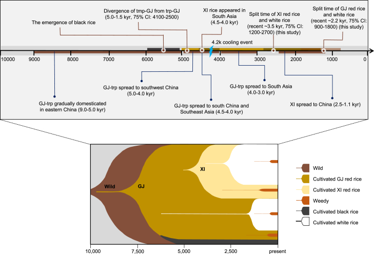 Figure 4