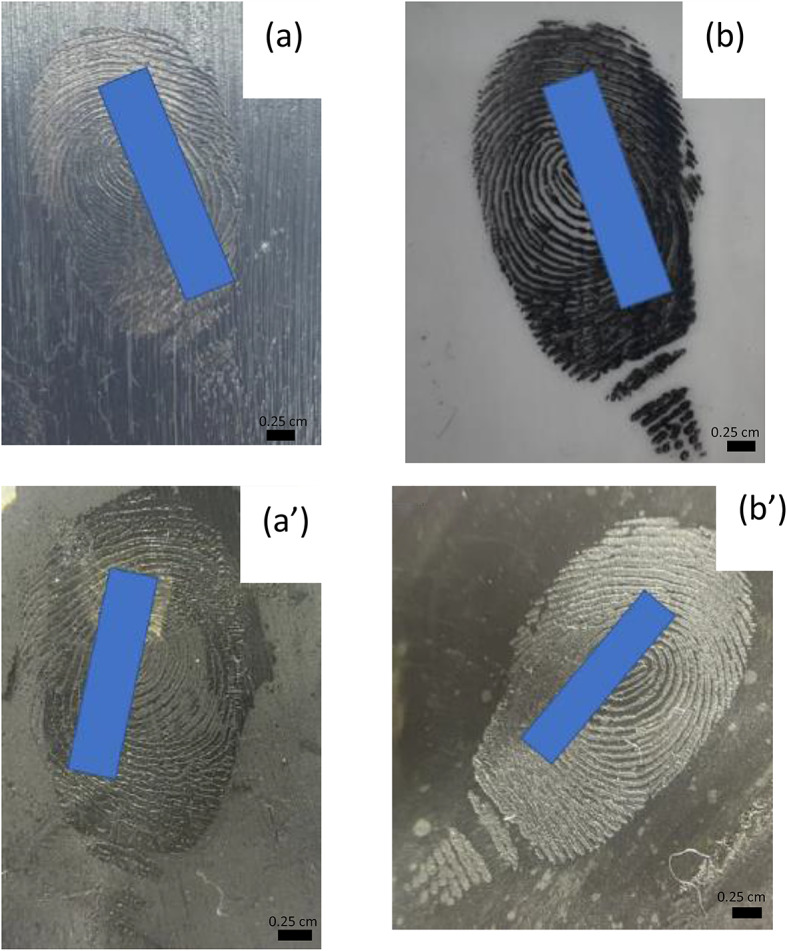 Fig. 8